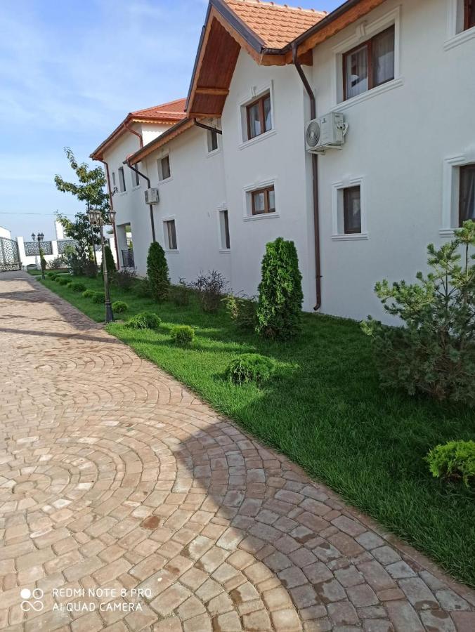 Pensiunea Giuvaerul Oltului Giuvarasti Exterior foto